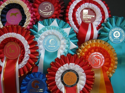 Club Rosettes from Showstoppers Rosettes